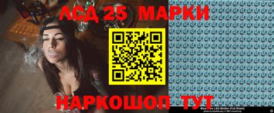 кокс Гатчина