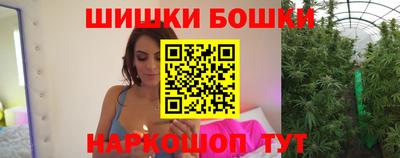 кокс Гатчина