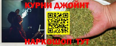 кокс Гатчина